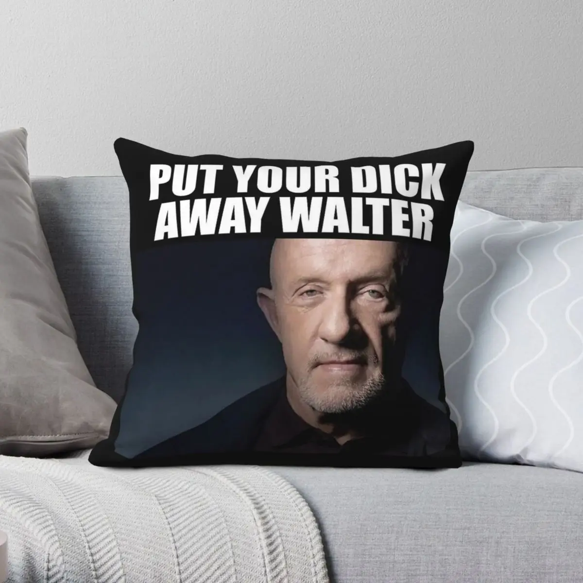 Put Your Dick Away Walter Square Pillowcase Polyester Linen Velvet Creative Zip Decor Throw Pillow Case Home Cushion Cover