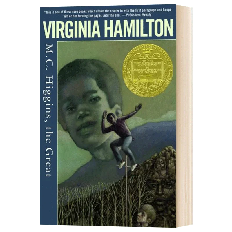 

MC MC Higgins, Детские книги для детей 9, 10, 11, 12 лет. Книги на английском языке, Изобельungsroman романы 9781416914075