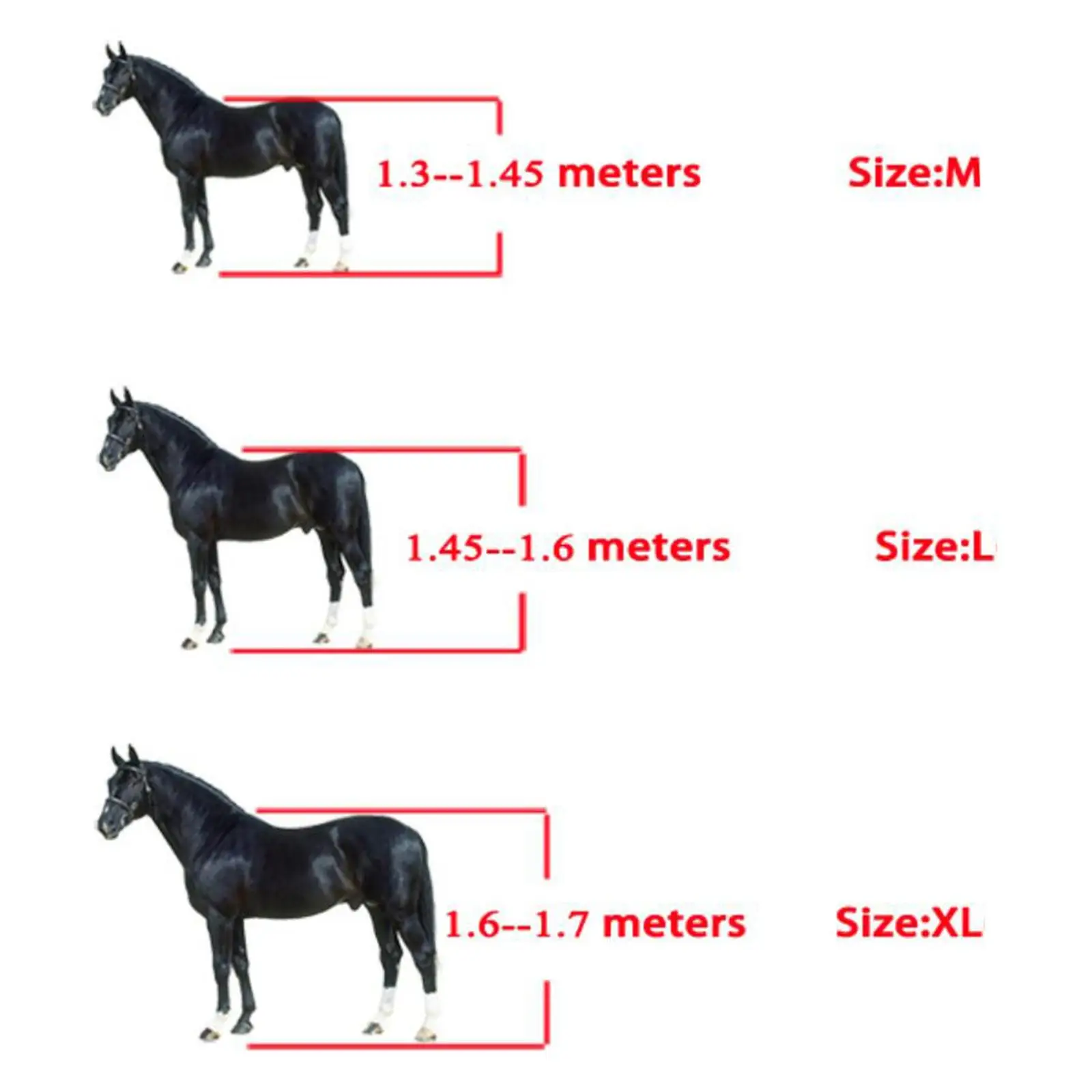 Riding Horse Leg Boots Set Front Hind Tendon Guards Hard Shell Shock Absorbing Fetlock Protector Comfortable Neoprene Liner for