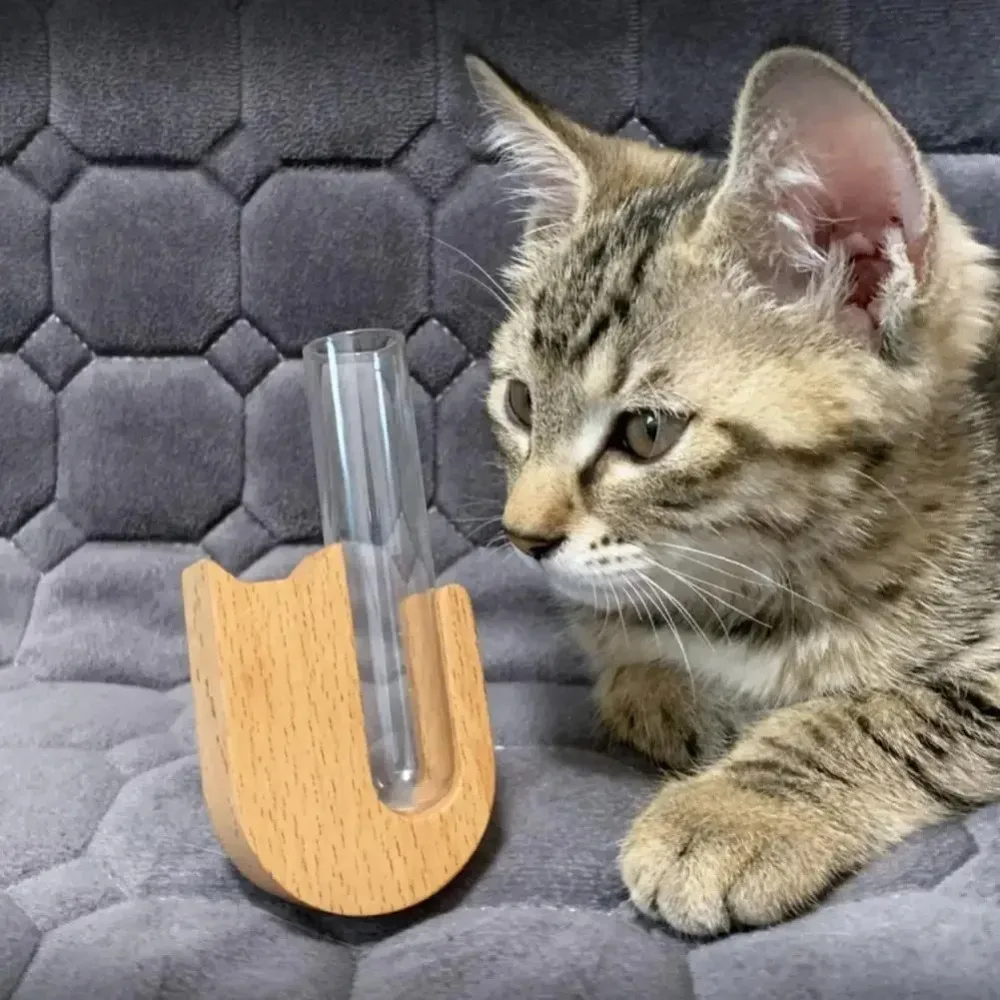 Florero de madera duradero para pelo de gato y mascota, florero de plantas hidropónicas con tubo de vidrio, caja magnética para almacenamiento de pelo de mascota, decoración para nevera