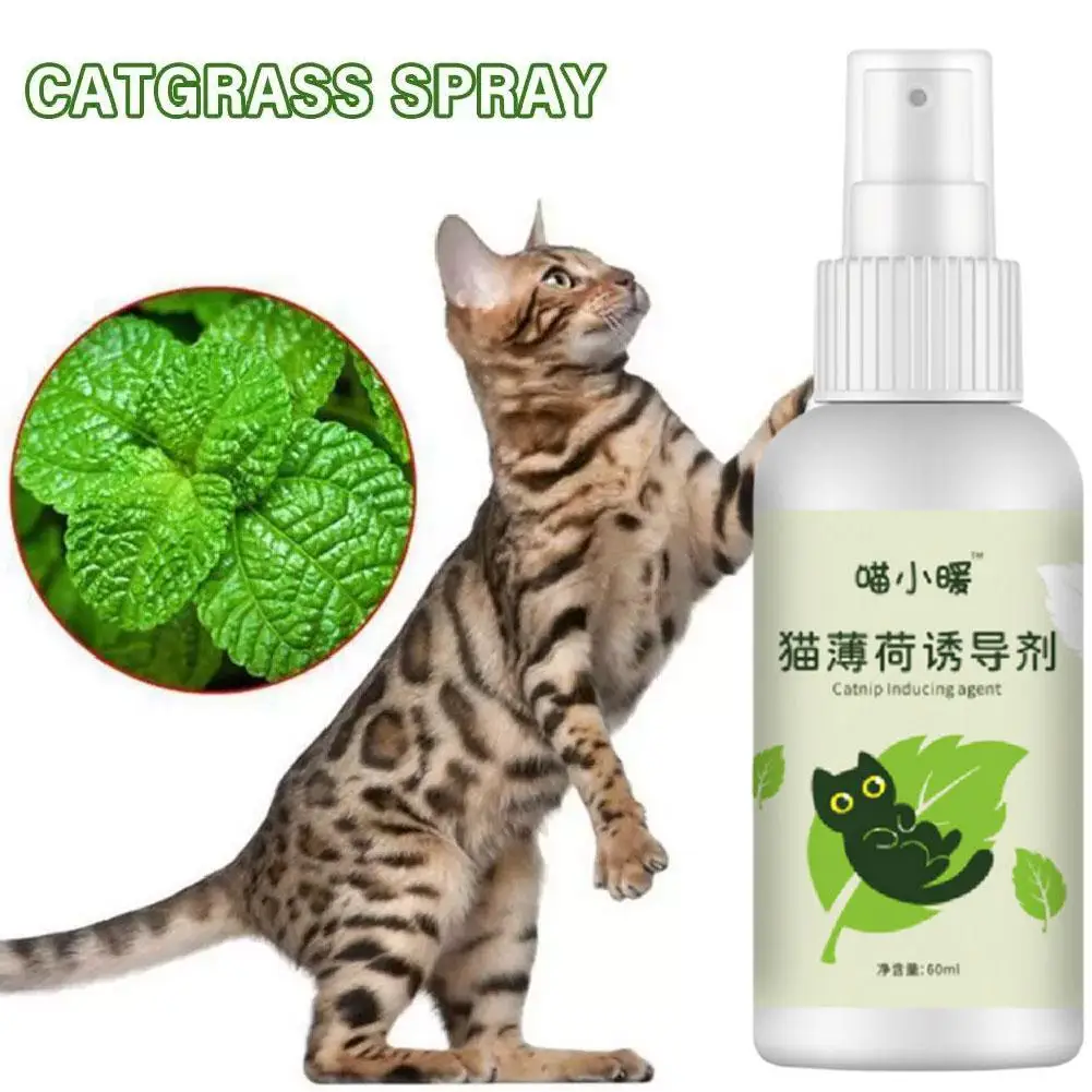 Cat Catnip Spray Safe Healthy Long-term Catnip Training Effect CatMint Inducer Toy Inducer Pet Effect CatMint Natural Pad S Q1N0