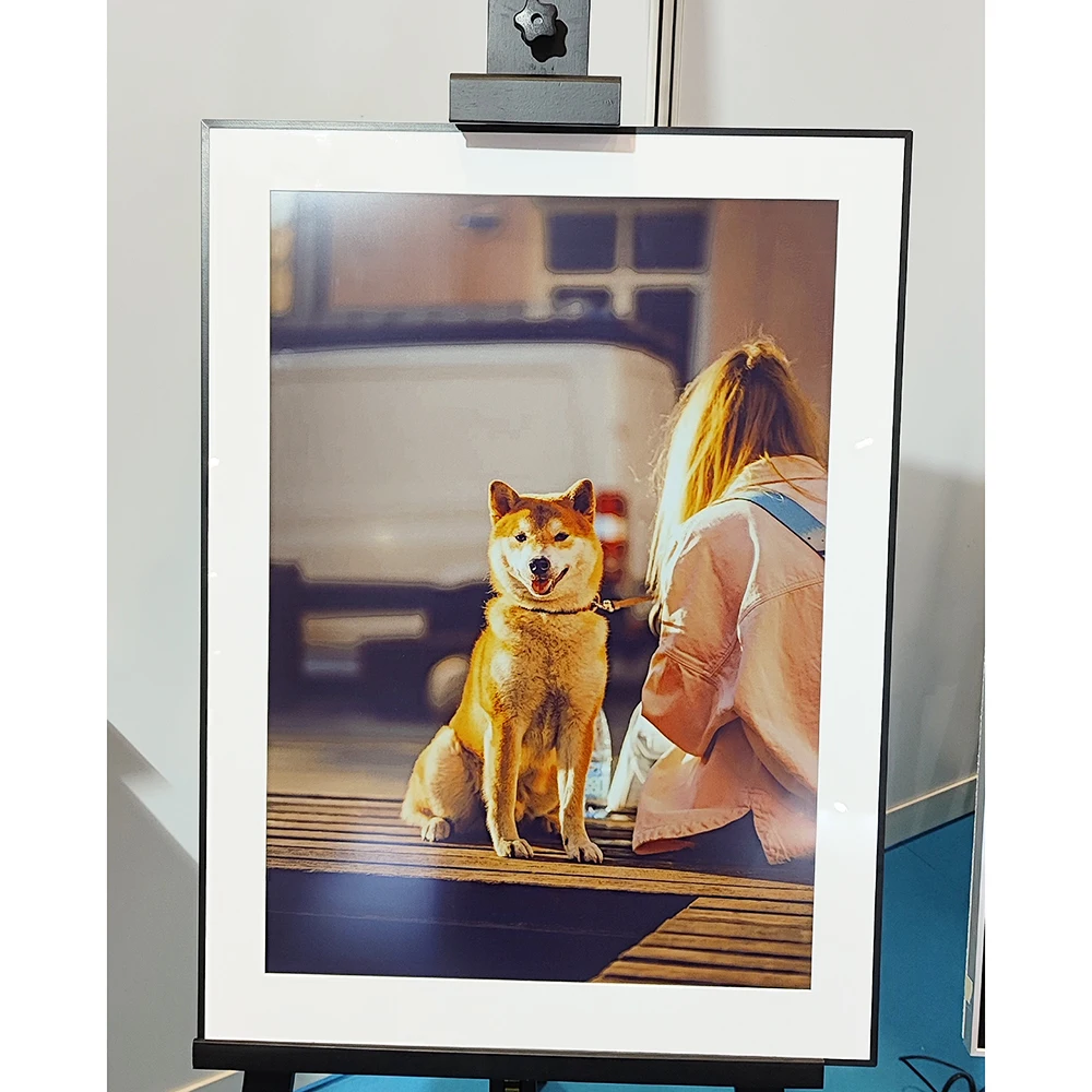 Kabelloses Display E-Reader lädt einmal für Jahre iOS und Android auf, kompatibel mit Playlisten, lokale Home Assistant-Integration