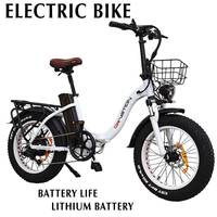 New 48V 750W DRVETION Aluminum Frame Electric Bicycle Retro Motorcycle EBike Hydraulic Brake High Electric BIKE