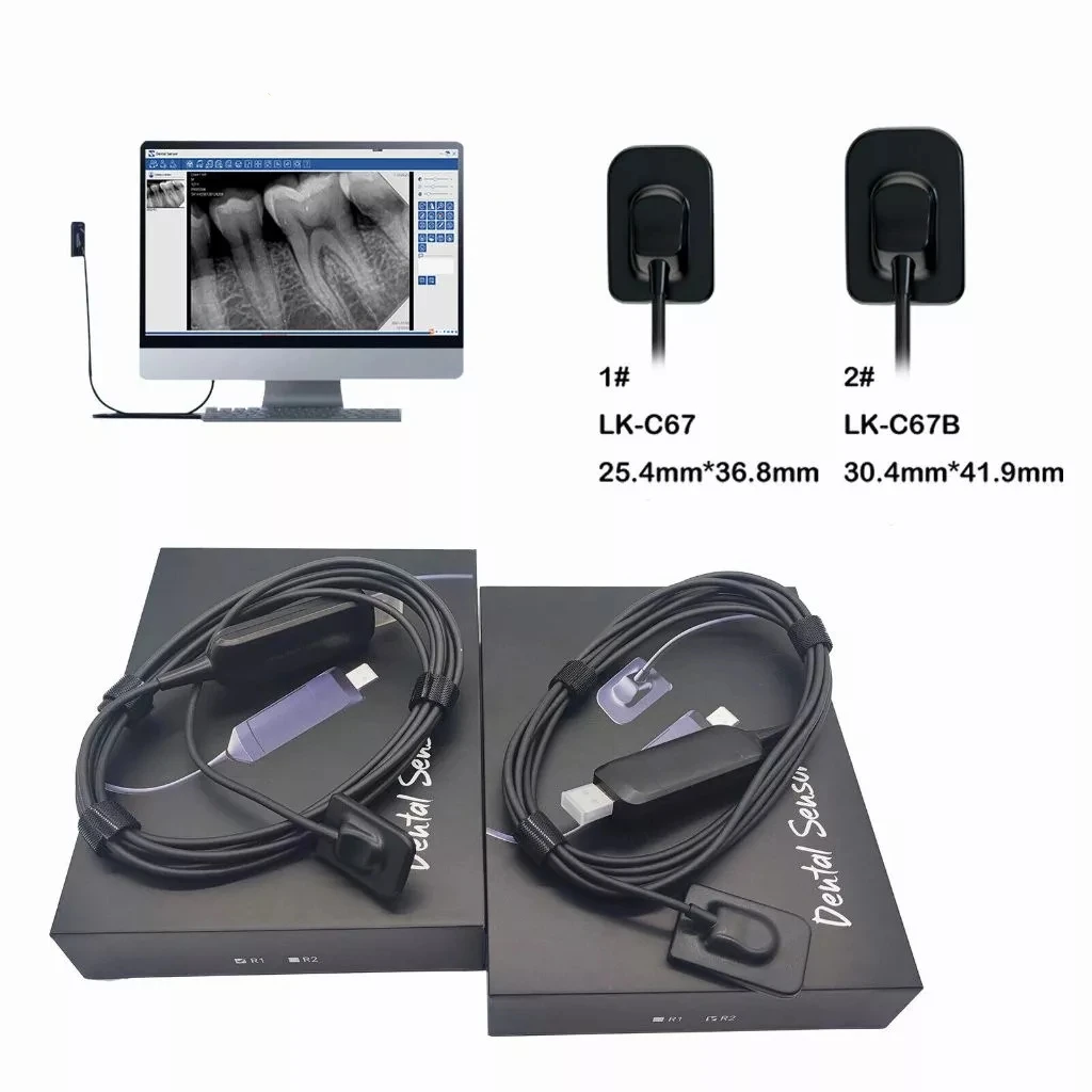 Professional Dental Digital Sensor R1/ R2  Imaging Sensor System 2 Sizes For Dentists