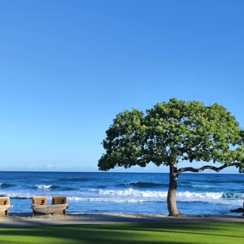 

GEPRC GEP-TAKER G4 35A AIO Flight Control - 170MHz G473 Main Control 2-4S Transmitter for FPV Racing RC Tools