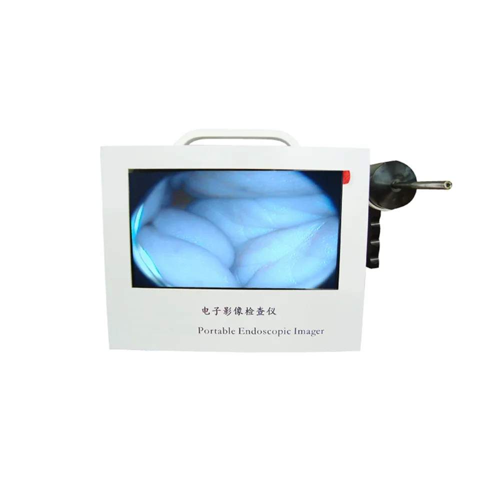 

Veterinary Animal Medical ENT Endoscopy Machine Price