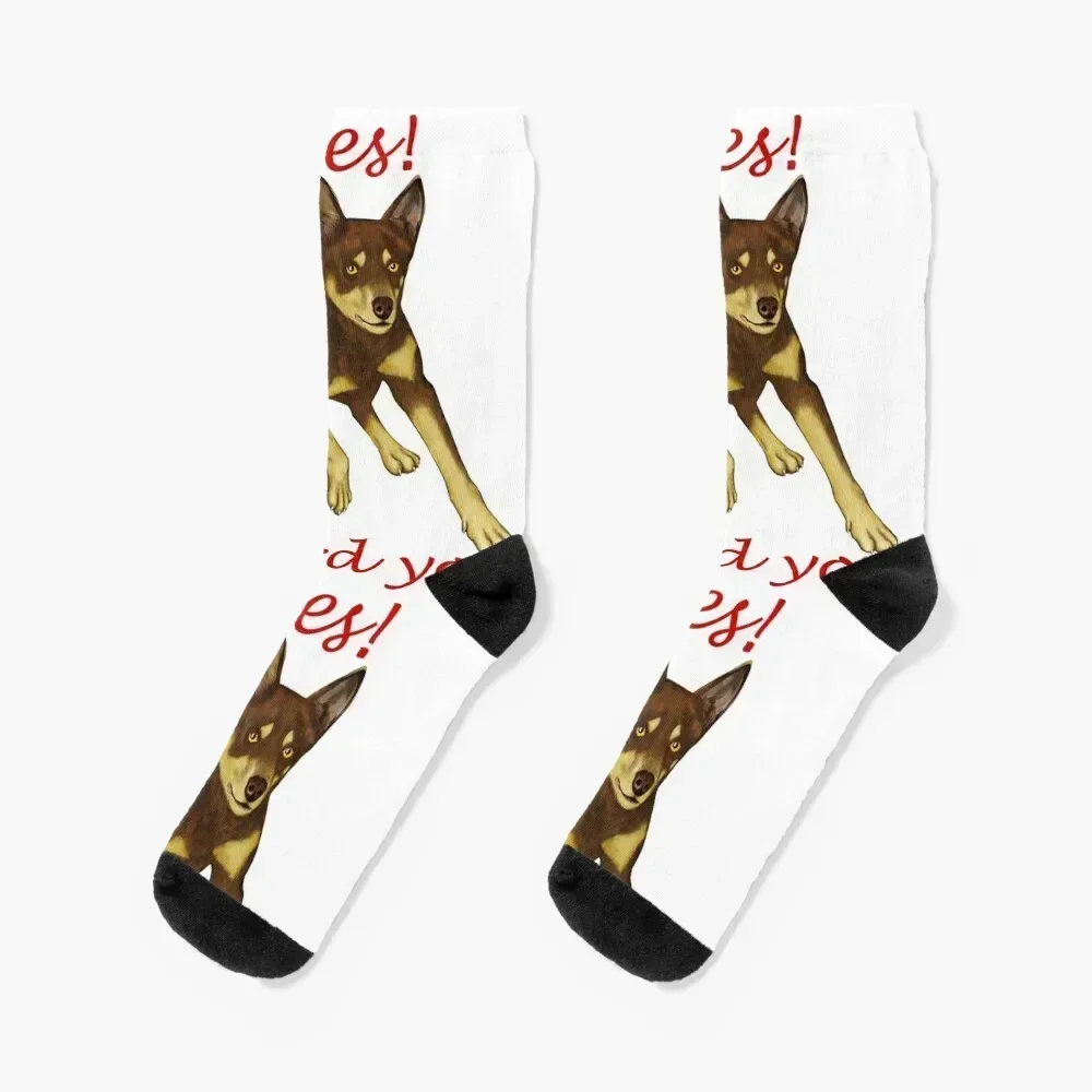 

Yes, I herd You - Australian Kelpie Socks FASHION Antiskid soccer cartoon Run Socks For Girls Men's