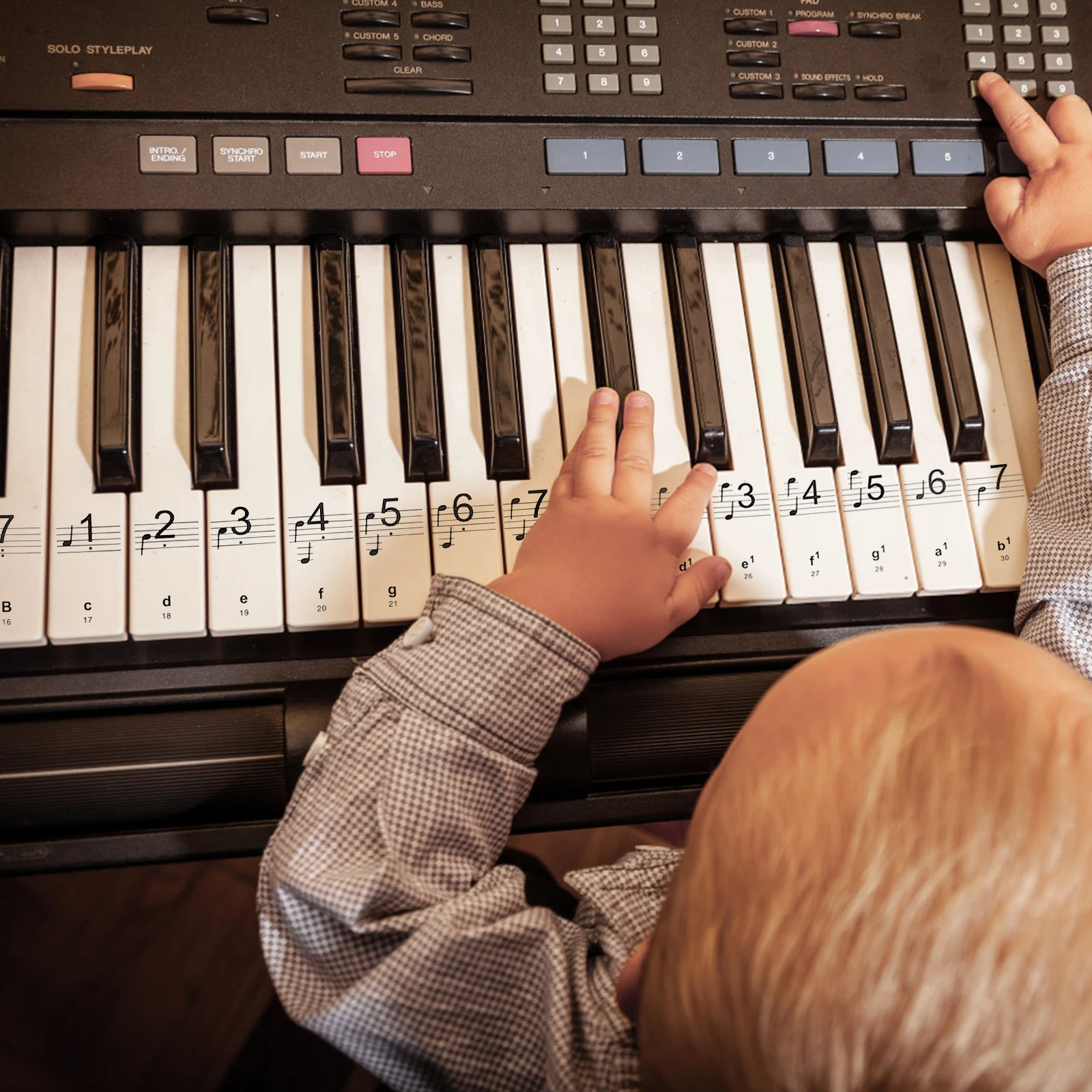 

Keyboard Durable Beginner Decal Easy Install Remove Clear Printing Gift For Learners Sticker For Beginners Keyboard Note Sticker