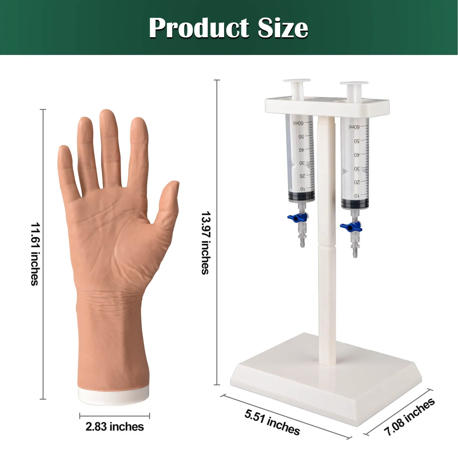 Geriatric IV Training Hand Kit for Vein Insertion Exercises