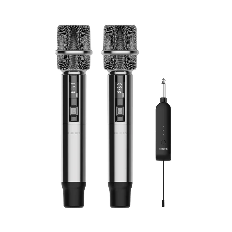 Wireless microphone anti-howling high-end professional microphone one-to-two true diversity home Karaoke