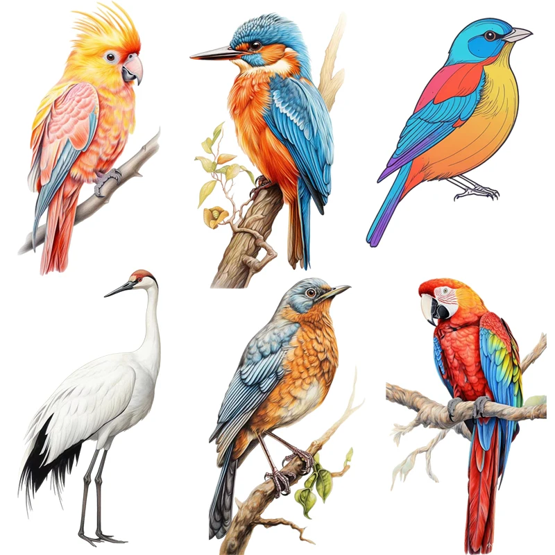 Three Ratels CV025 Beautiful parrots cranes and birds Pastoral style  wall stickers for home decoration car decals