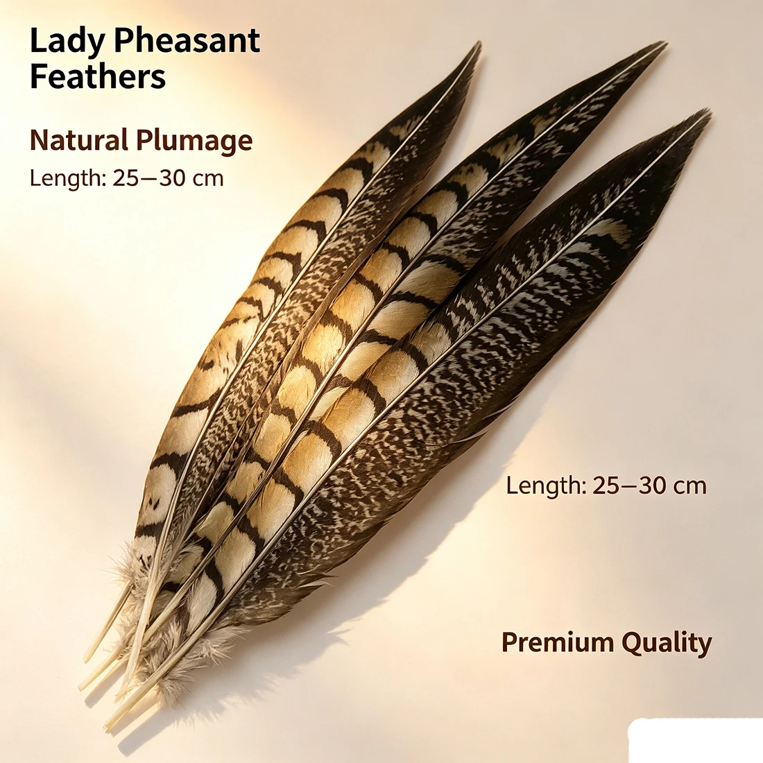 ZPDECOR Lady Amherst Tail Pheasant Feathers 25-30cm/10-12 Inch Plumes for Fashion Crafts DIY Artwork And Decorations