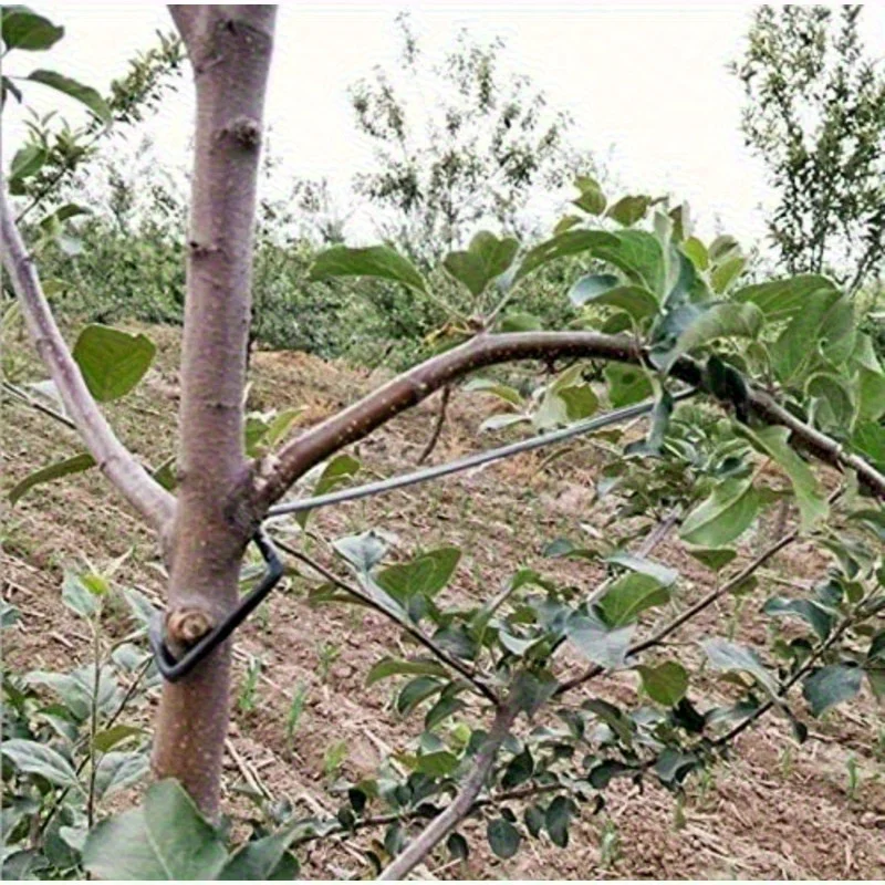 Metal Branching Tool Set Adjustable Gardening Training Tool Durable Fruit Tree Sapling Branching Support Gardening Accessories
