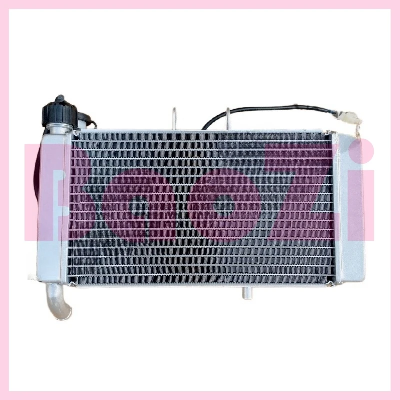 

Water Tank Radiator Assembly for Aprilia Gpr150r Apr150-r