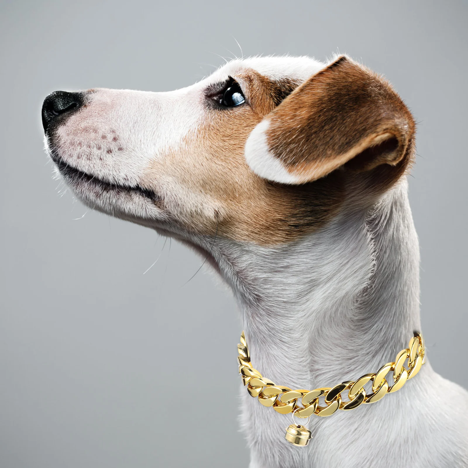 

2 Pcs Pet Gold Chain Collar Dog with Bell Small Necklace Puppy Costume Accessories Abs Pets Reusable