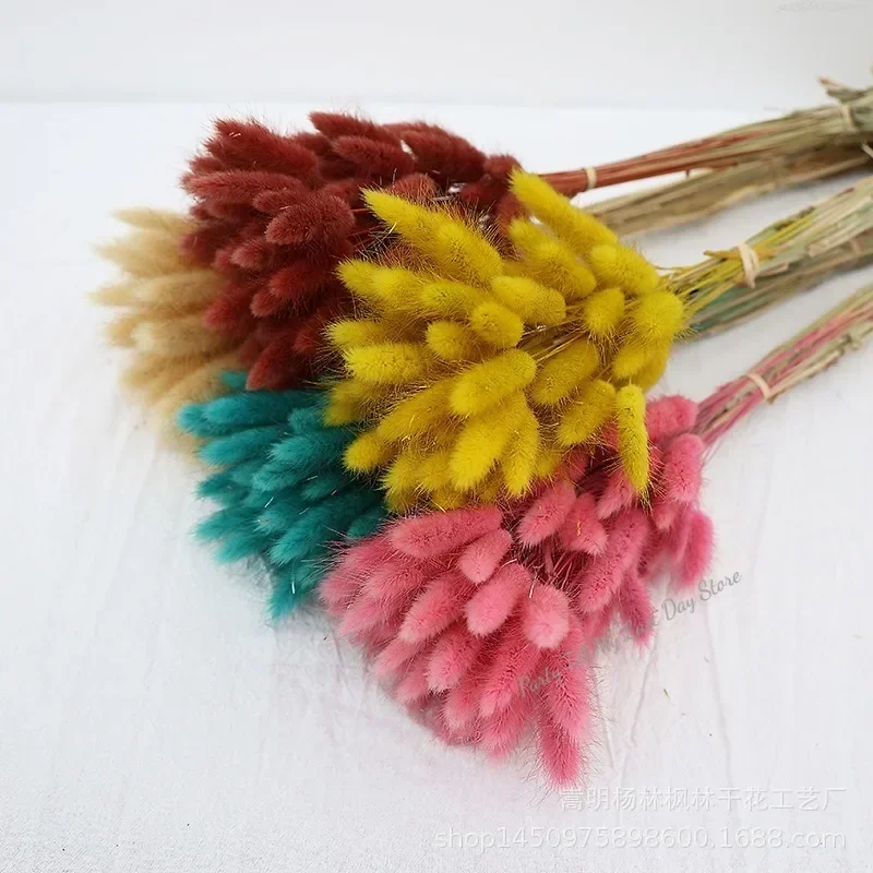 60szt Nature Rabbit Tail Grass Dried Flower Bouquet Dog Tail Grass Dried Flower Immortal Flower Small Bouquet DIY Decoration