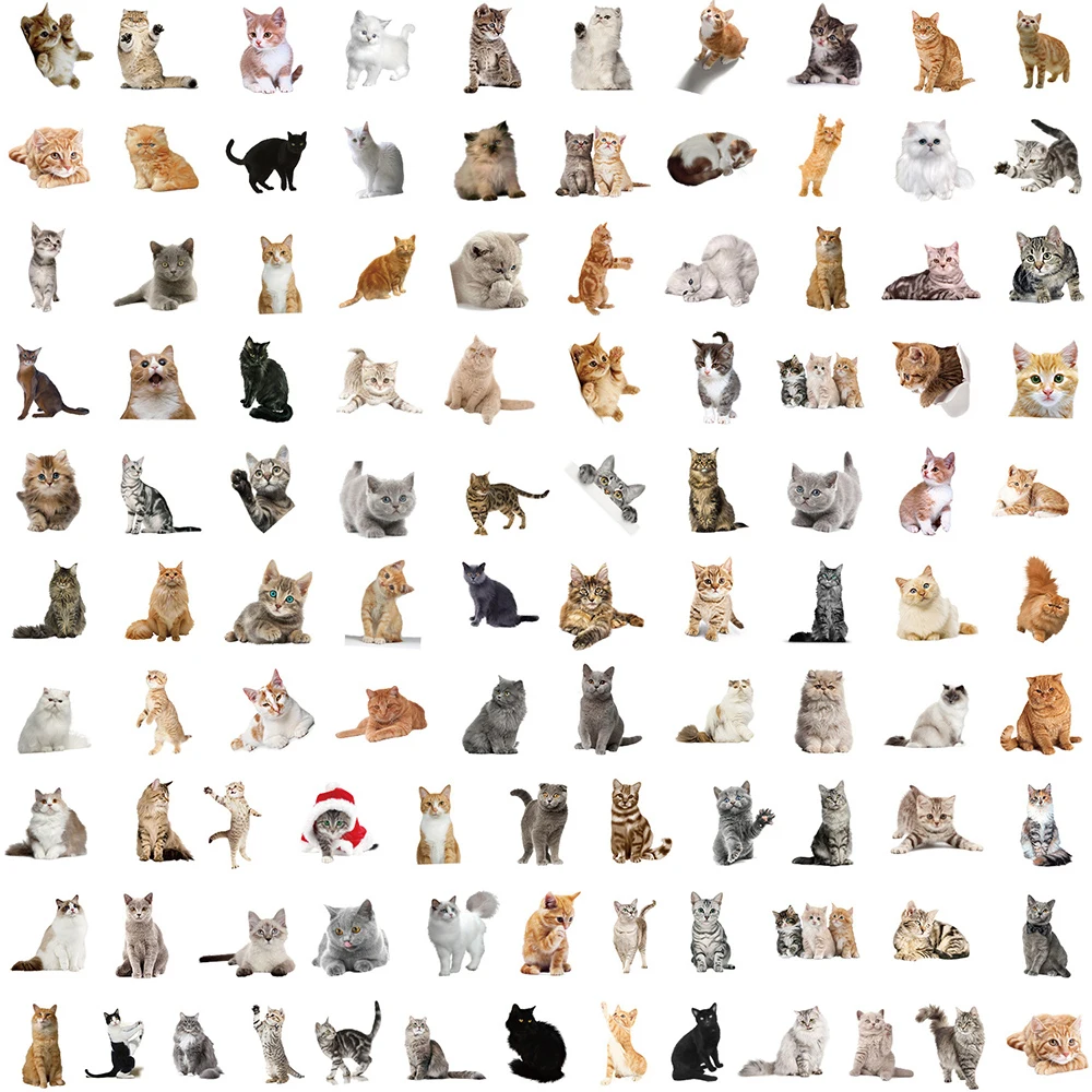 10/30/50/100 قطعة Kawaii القط الكرتون ملصقات مضحك لطيف الحيوان هريرة ملصق DIY بها بنفسك سكرابوكينغ المحمول الدراجة الكتابة على الجدران الشارات اللعب