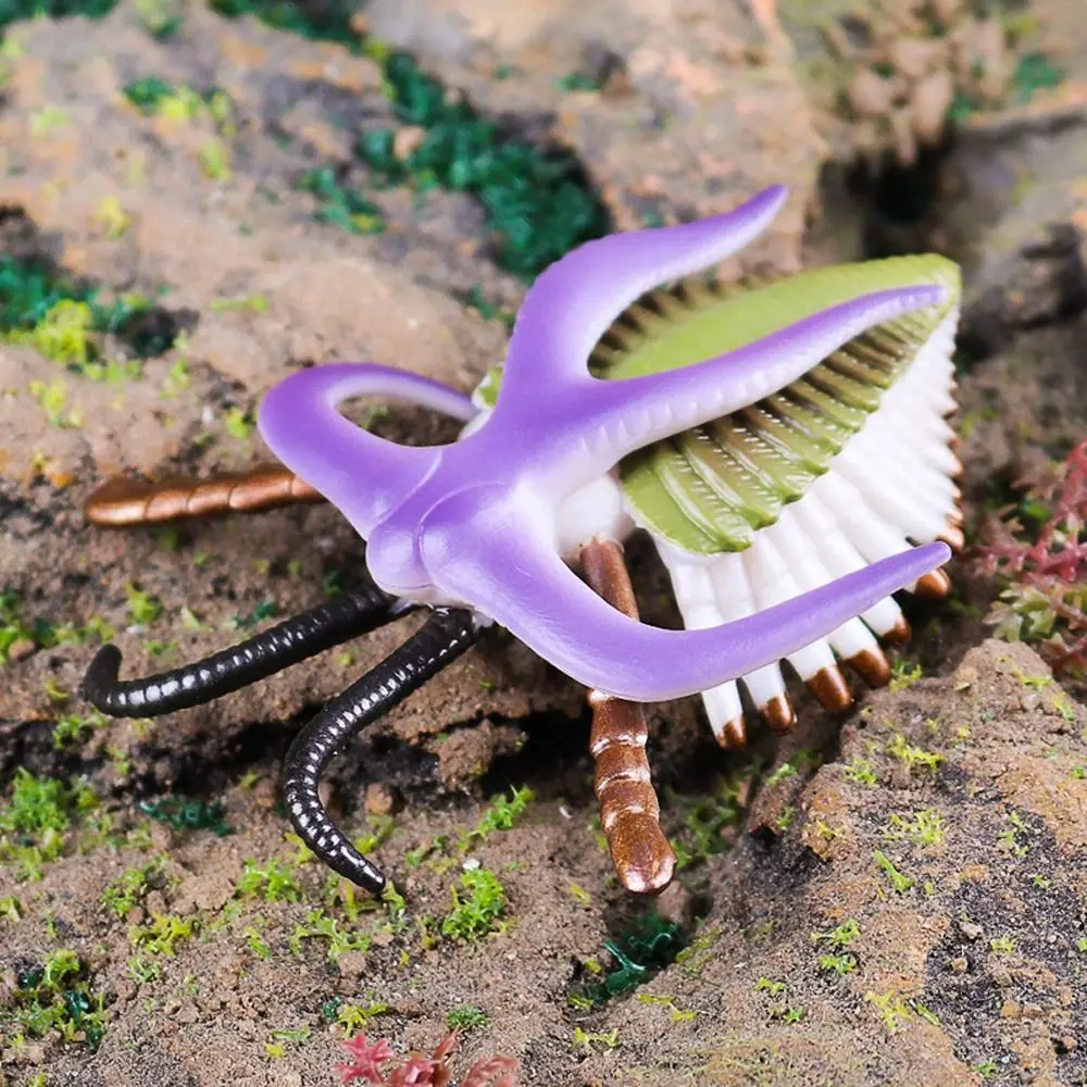 Prehistorische Oceaan Dierenfiguur Simulatie Anomalocaris Zeeleven Beeldjes Oude Educatieve Trilobite Figuurspeelgoed
