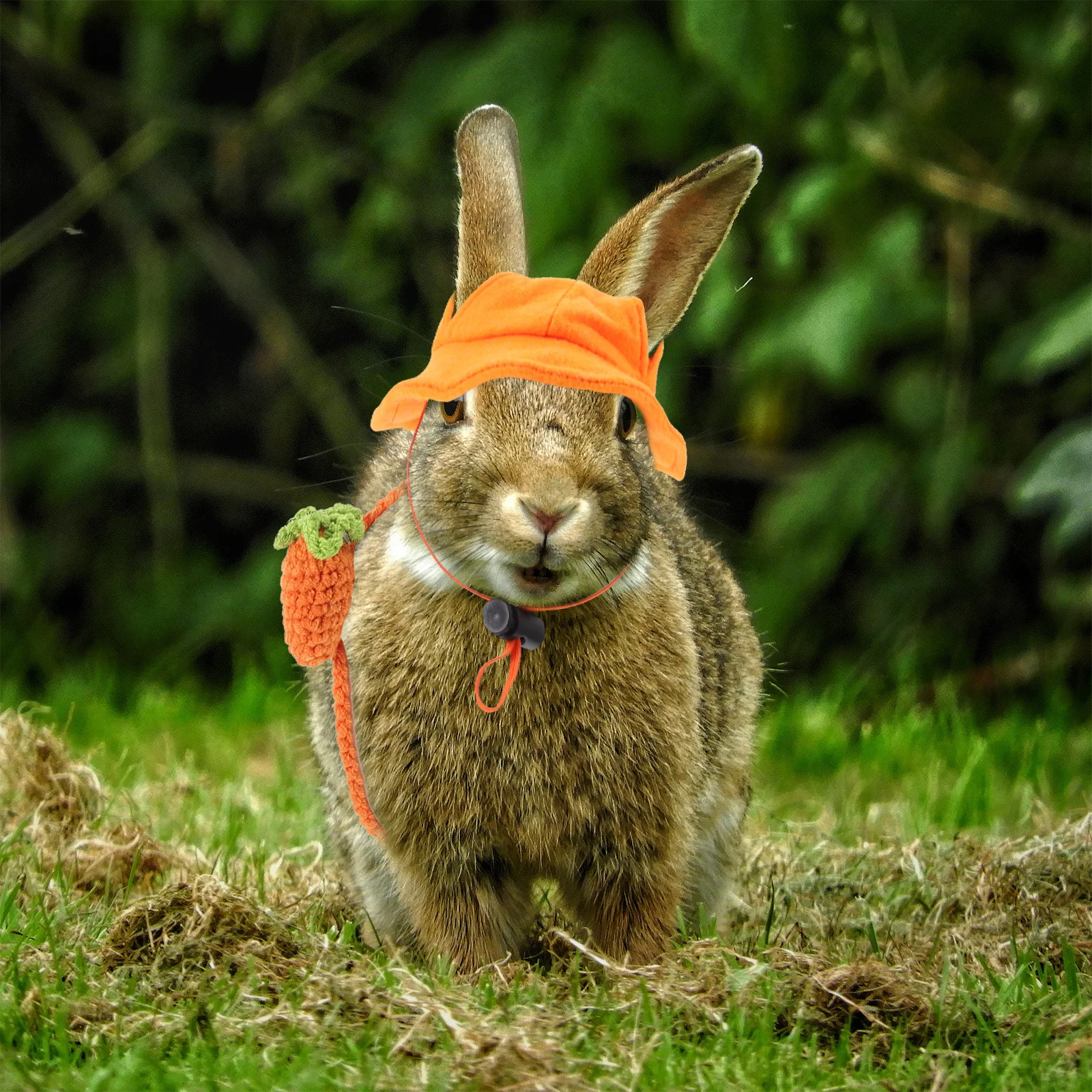 

1Set Pet Rabbit Decoration Hat and Carrot Bag Small Size Cute Rabbit Party Headwear Stylish Pet Costume Accessories