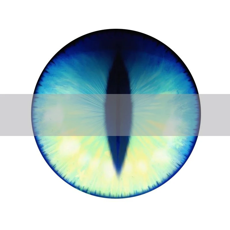 Anime Character Head eye Eyeball Furryfandom Kigurumi Kemono Cosplay Costume Eye Pupil Accessories Animal Dust Net Kig Eye Pupil