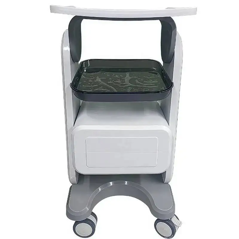Cosmetician Medical Hairstylist Rolling Wheel Storage Cart Serve Trolley Carrito Almacenamiento Beauty Salon Equipment Furniture