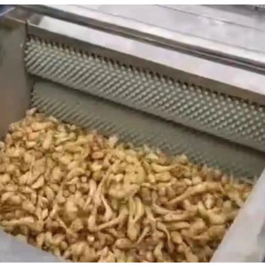 

Brush Roller Potato Peeling Machine Washing Potato Peeler Machine Electric Potato Washer and Peeler Machine