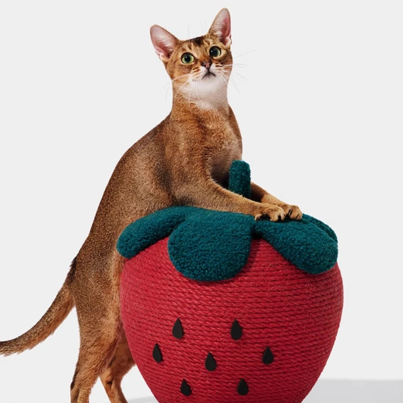 Bola rascadora para gatos con cuerda  fresa, rascador duraro que no se spren, marco  escalada Vertical para aliviar el estrés