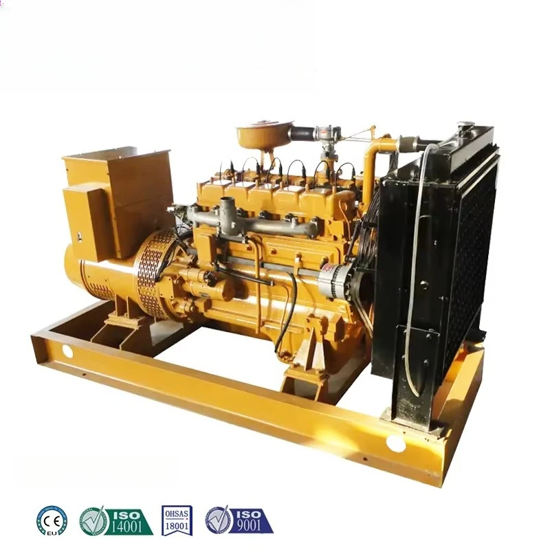 Home Using Competitive Price Mini Generator 30kw Biogas Plant forHousehold