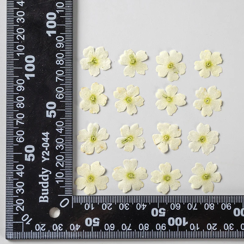 60Pcs Natural Cherry Blossom Dried Flower Stickers for Face Decoration, Eye Corner Stickers, Petal Makeup, Fairy Makeup, Bridal Makeup