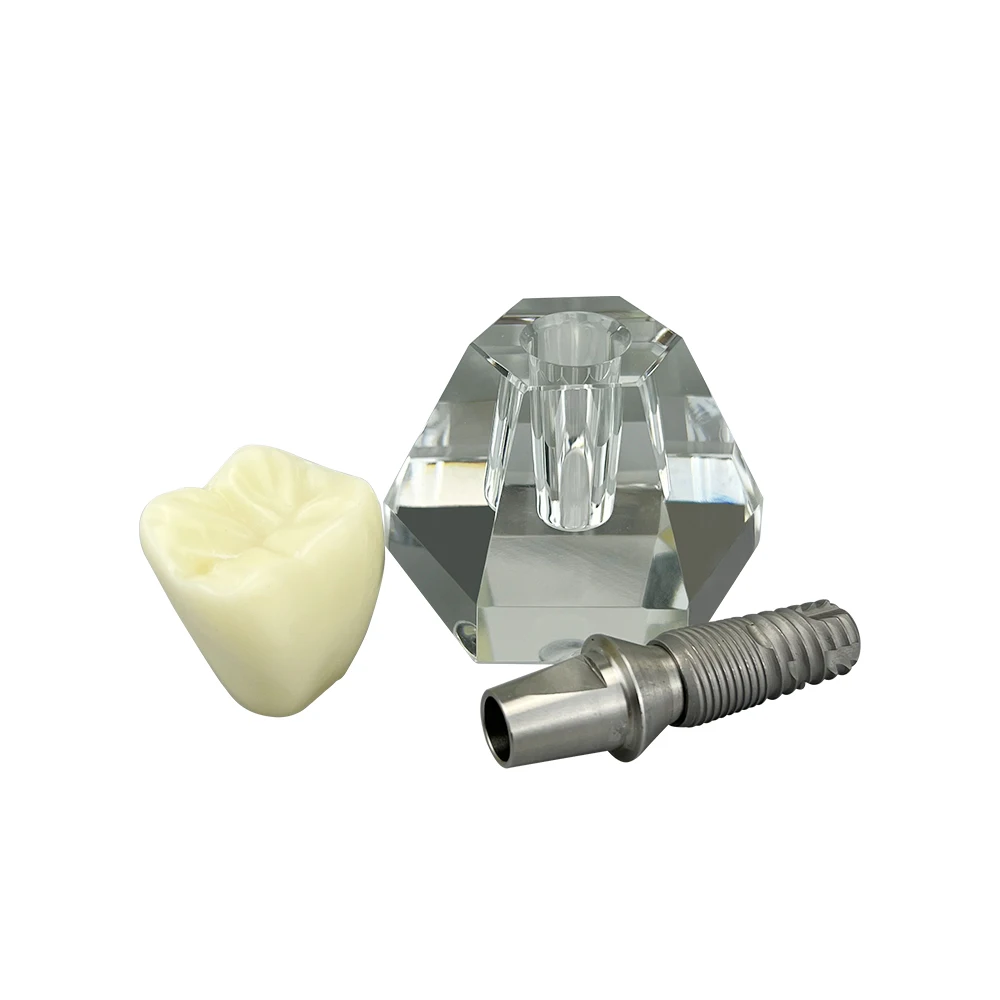 Clear Implant Denture Model Crystal Dental Implant Teeth Model Crown Typodont Demonstration Model Dentistry Laboratory Products