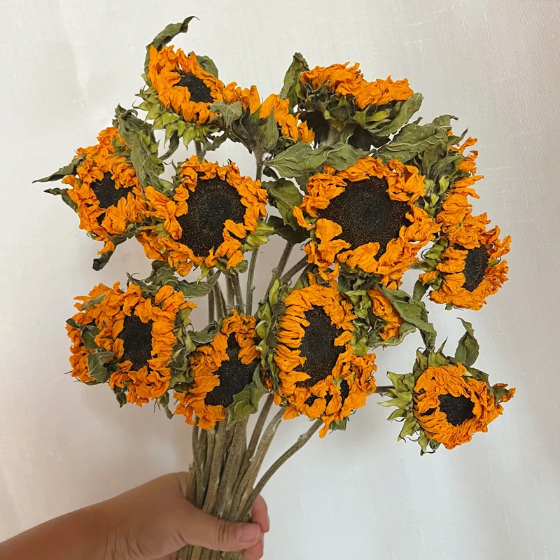 

Dried Sunflower Bouquet for Home Decor, DIY Bouquet, Lover Grass, Wedding, Bedroom, Wall Decor, Pampas Grass, Reed Party