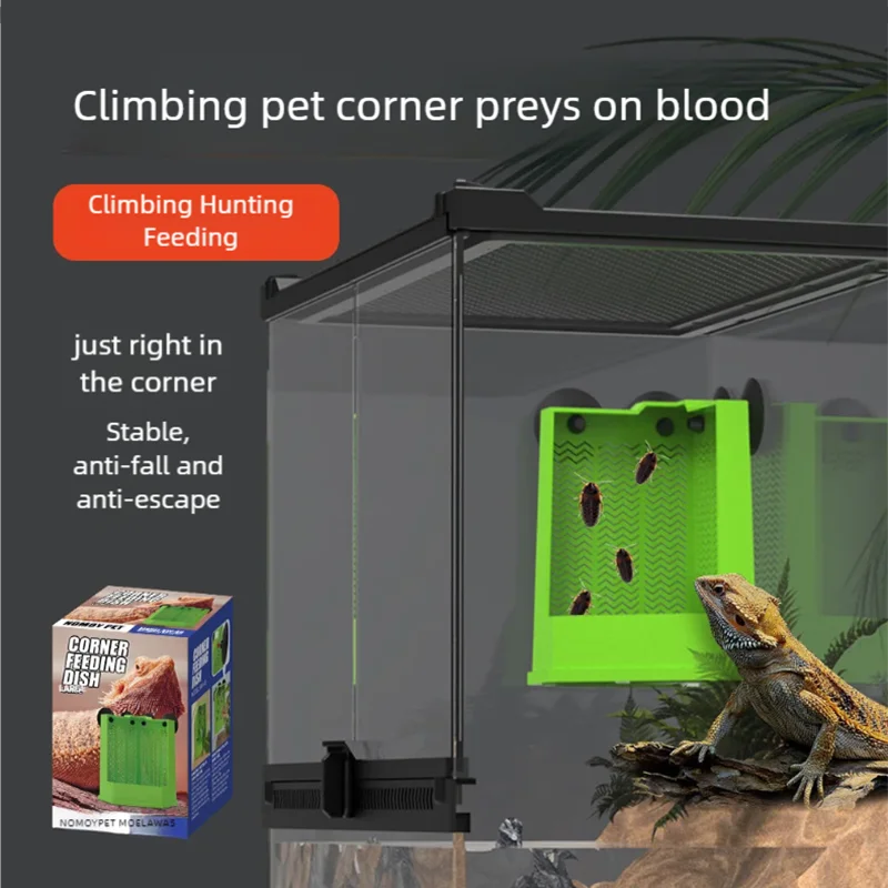 

Crawling pet hunting dish, ciliary horned palace lizard, chameleon, high crown feeding box, corner crawler, arboreal feeder