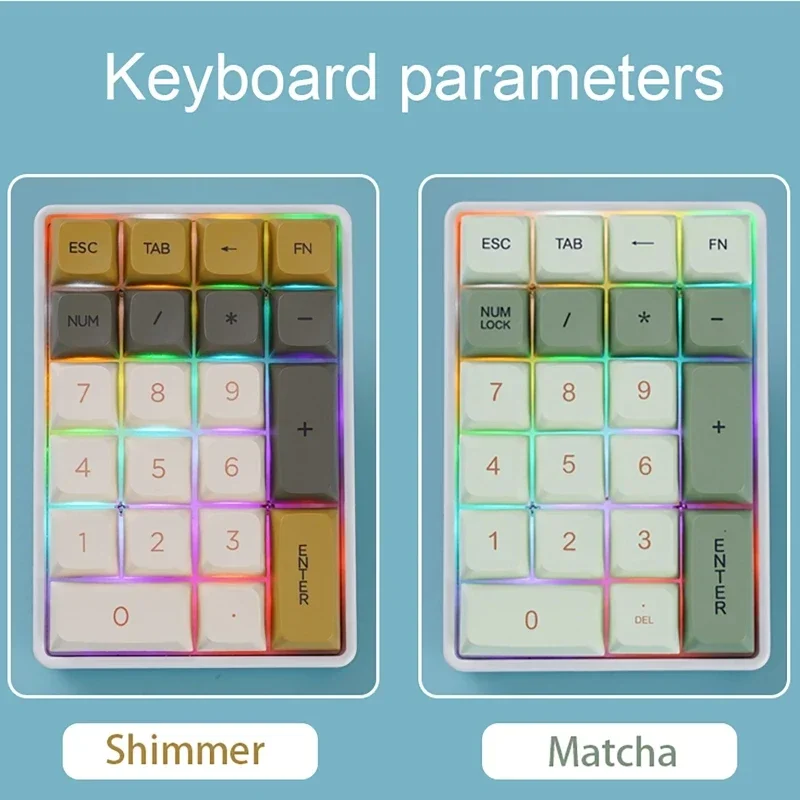 21-Key Mechanical Keyboard, Bluetooth/2.4Ghz/USB-C Connection, Colourful Lighting, Full Key Hot-Swap Mini Keypad for PC Laptops