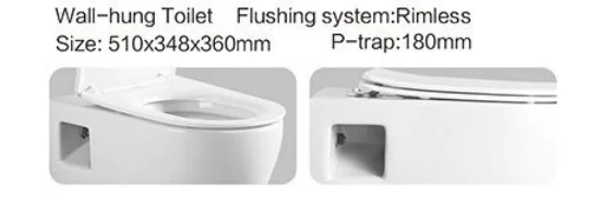 Modern style white water closet sanitary ware rimless one piece wall mounted toilets