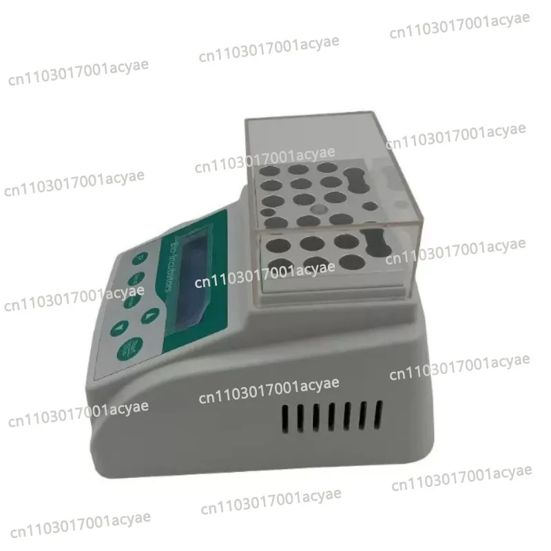 B80 Constant Temperature Incubator Biological Indicator Sterilization Monitoring Laboratory Equipment