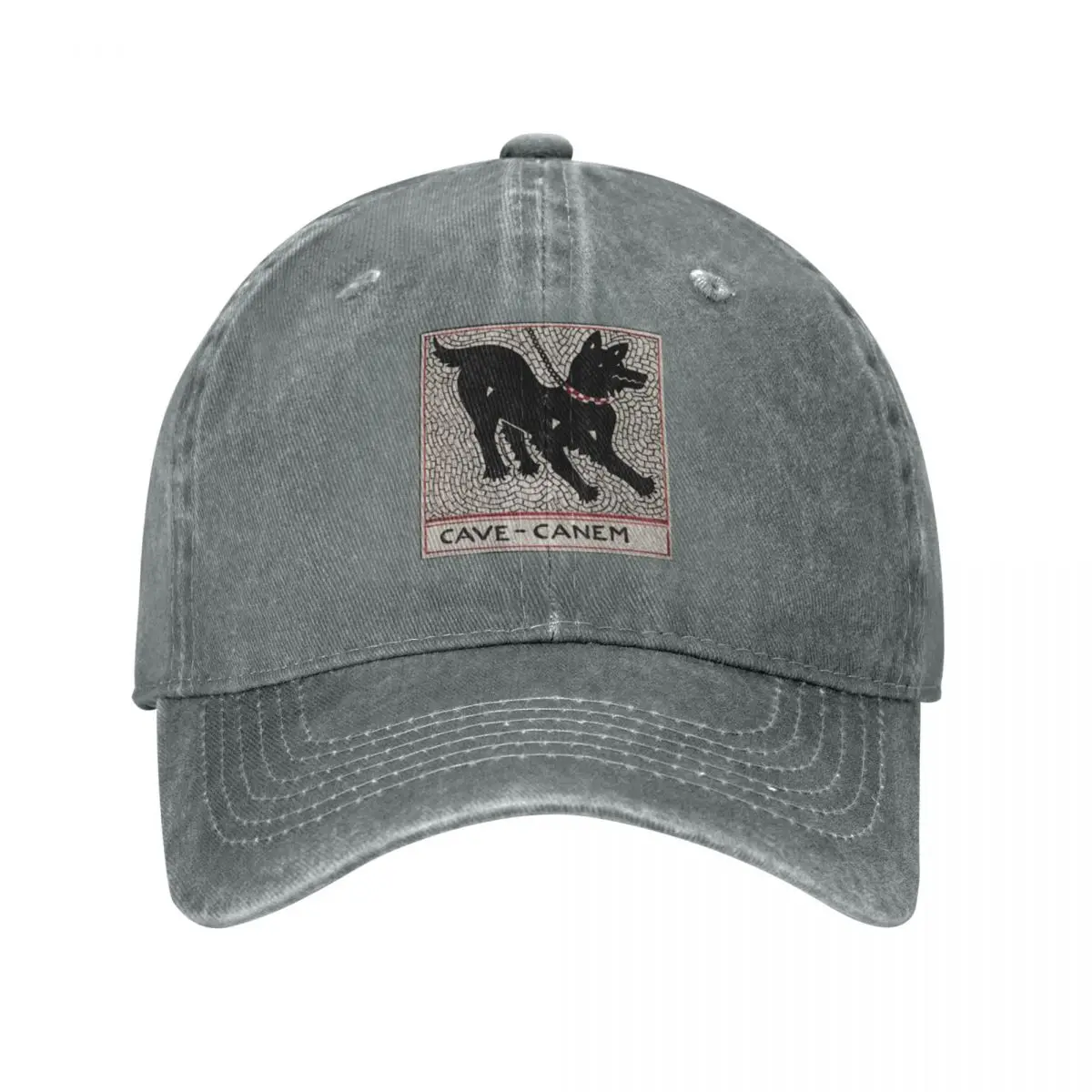 Cave canem Cap Cowboy Hat Caps uv protection solar hat Hat men Women's