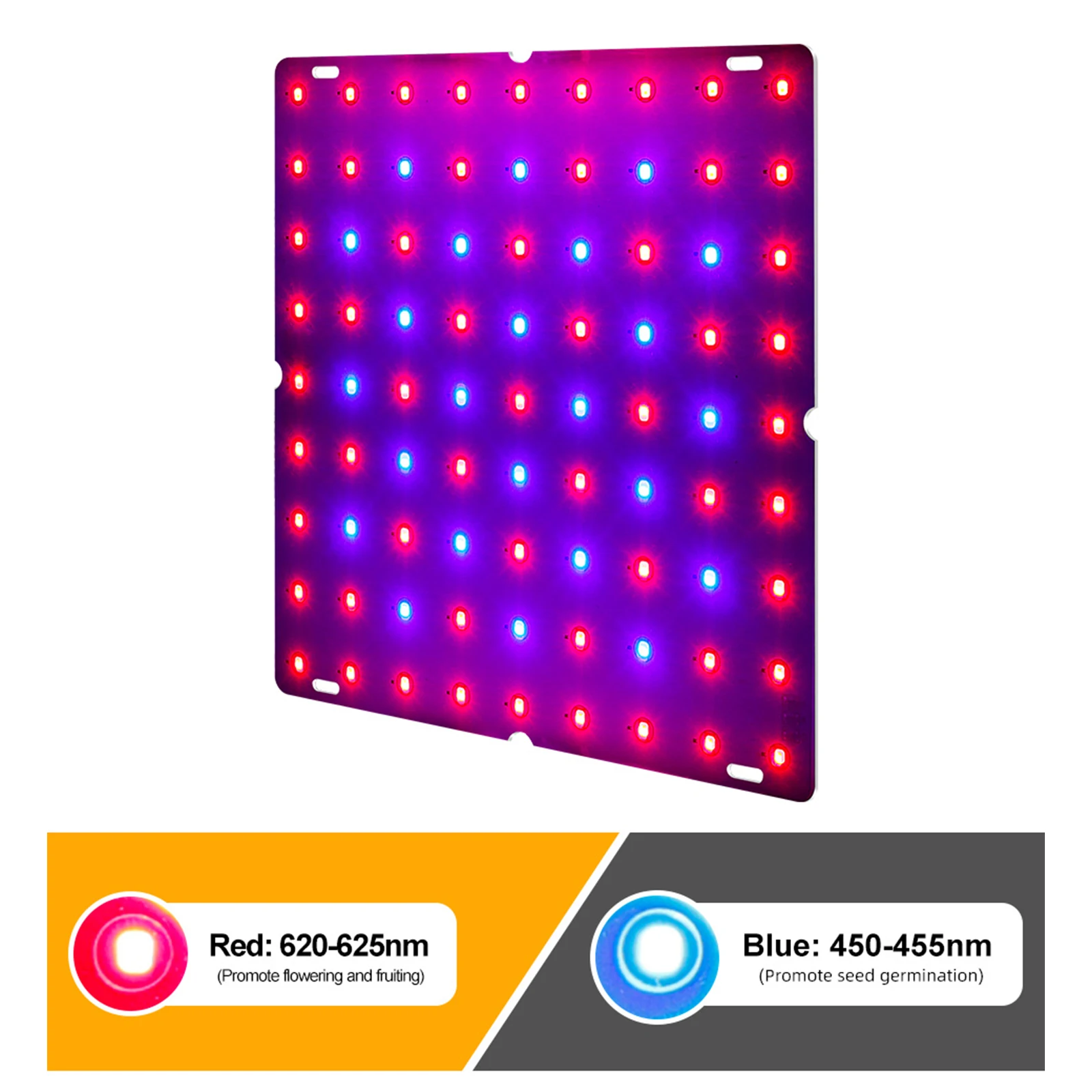 LED Grow Light Red Blue Full Spectrum 81 LEDs Grow Lamps LED Panel Grow Light for Succulents Hydroponic Greenhouse Indoor Plant