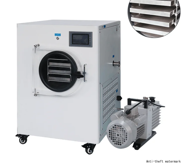 2026 Dryer for Foods: Meat/Coffee/Vegetables/Apples/Bananas/Eggs/Fruit/Milk Dryer (Vacuum Dryer)