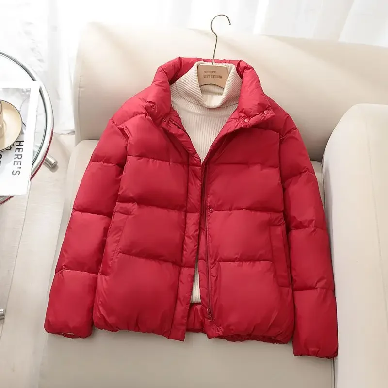 Parka da donna cappotto stile pendolarismo 2024 inverno nuovo colletto in piedi piumino in cotone cerniera regolare abbigliamento donna inverno