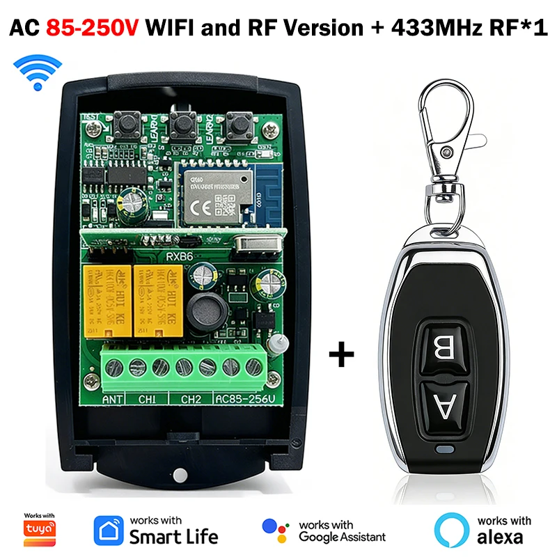 AC 85-250V and RFX1