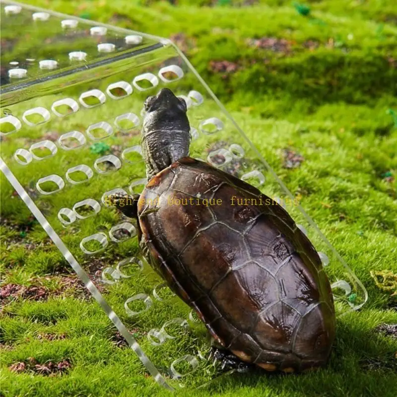 L9NB Reptiles Slope Basks Platform Resting Basking Platform