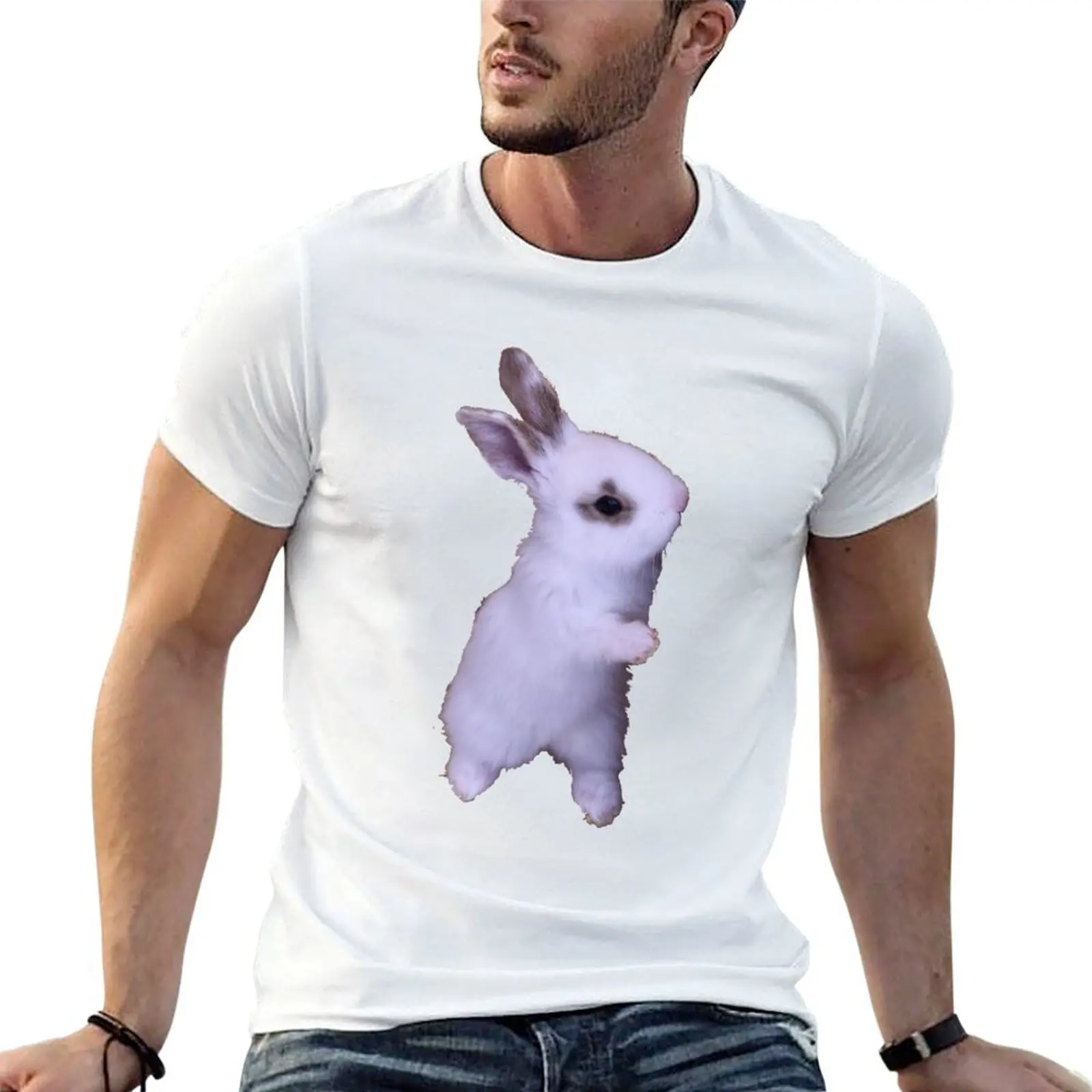 The little Lady / Swiss Artwork Photography T-Shirt graphic t shirts quick drying plain t shirts men