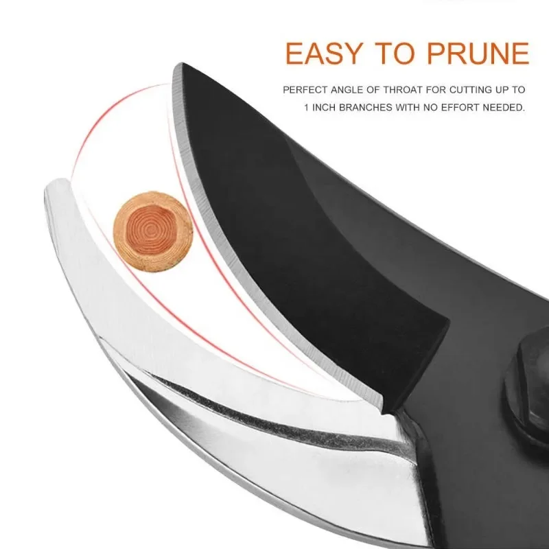 Fruit Tree Pruning … - image