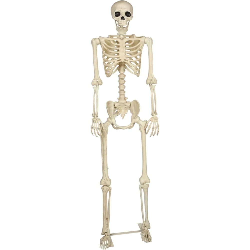 حامل معدني من كريزي بونيز بوز إن ستاي للهياكل العظمية الطويلة بطول 60 بوصة (5 أقدام).