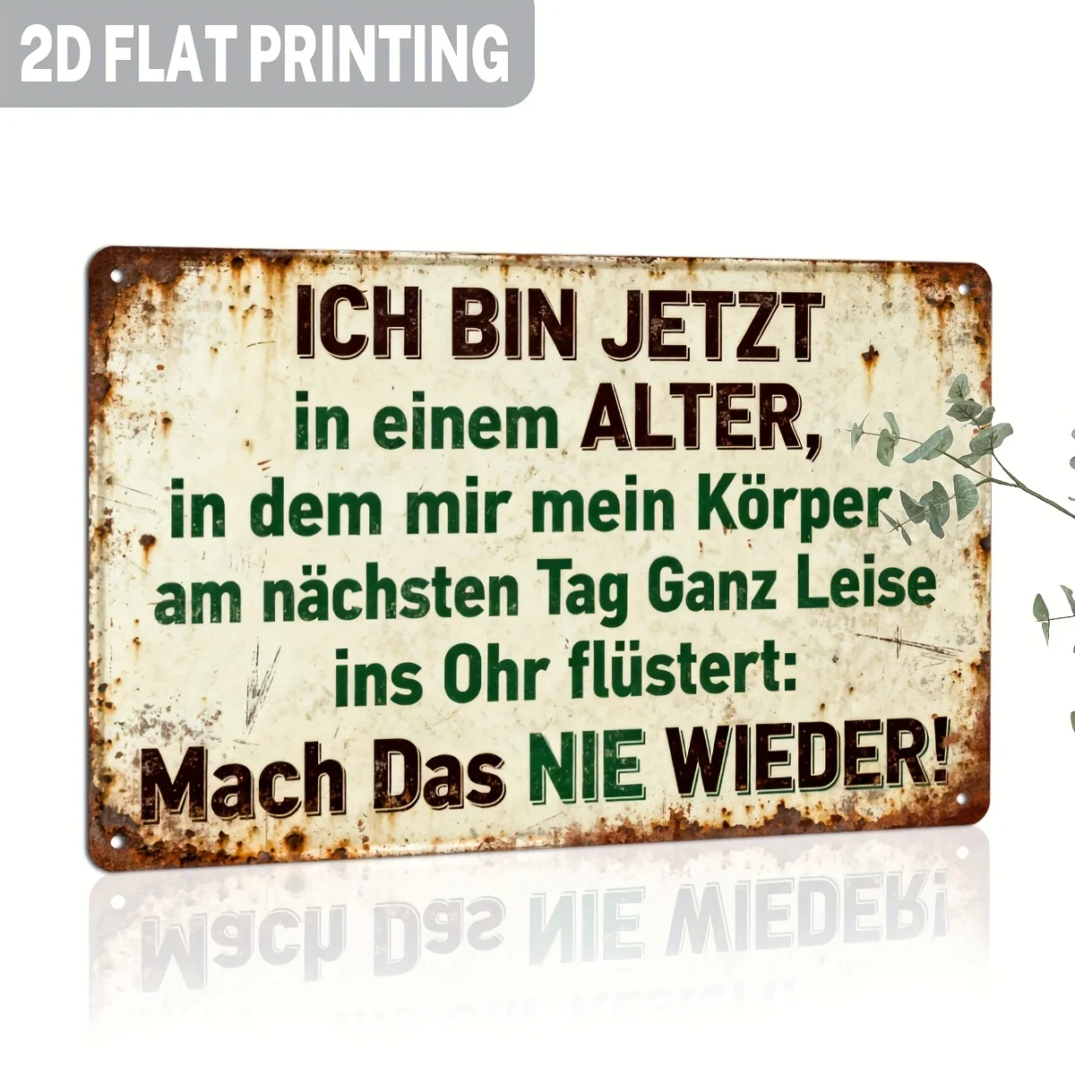 2D Flat, 1pc German Vintage Funny Metal Sign with German Text & English Translation - 