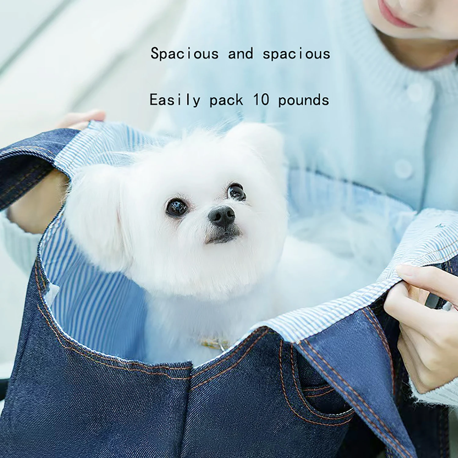 Thumbnail 4 - #26 Latest Puppy Carriers Updates