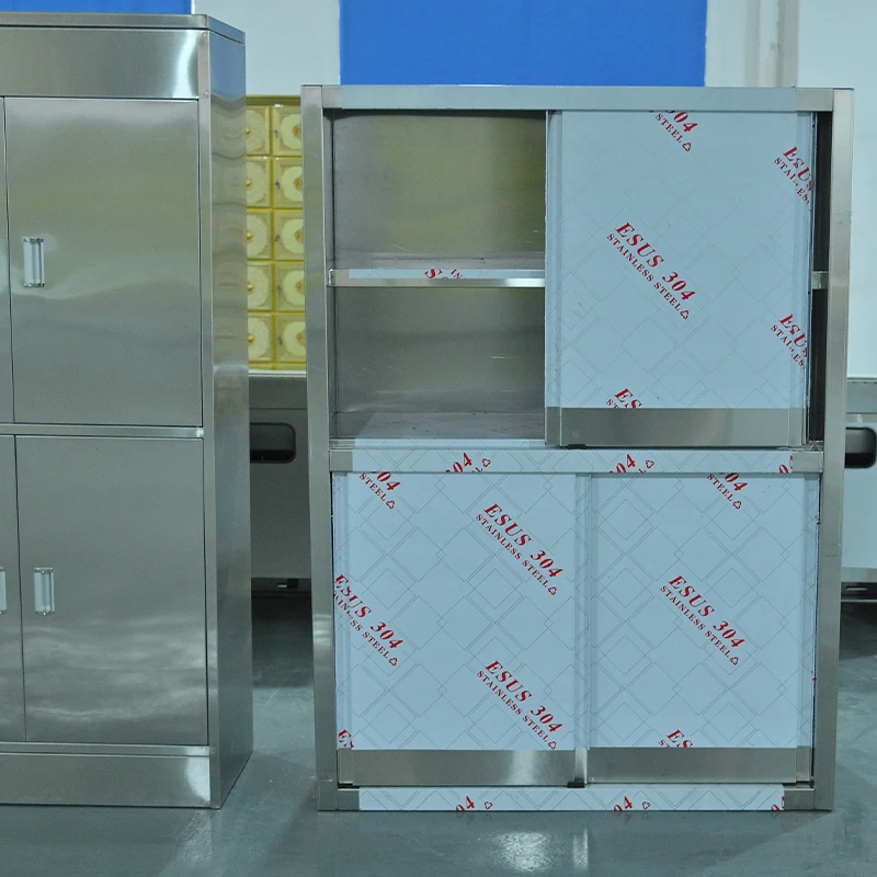 Customized Secure Lockable Heavy Duty Stainless Steel Equipment Cabinet for Anatomy Room Medical Tool Storage