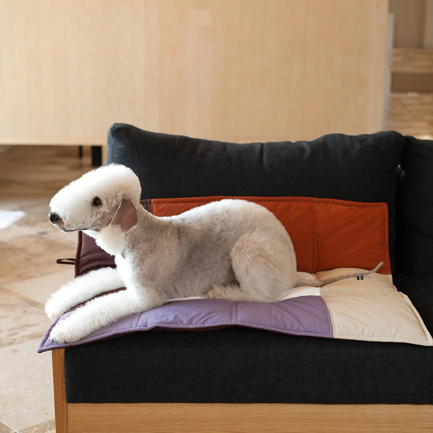 

Мягкая водонепроницаемая хлопковая подушка для собак: многофункциональный водонепроницаемый портативный дорожный коврик для путешествий, легко чистится, для виппетов