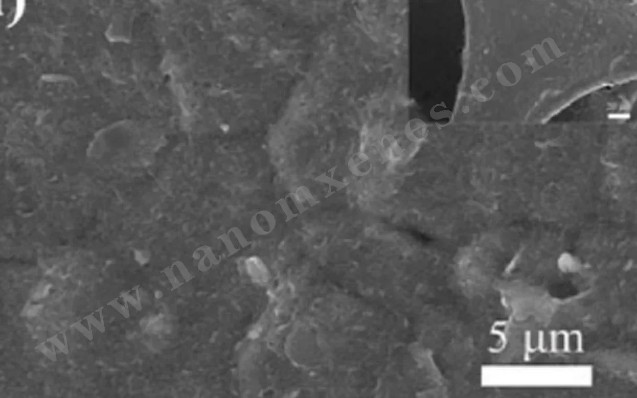 COF&Tetrakis(4-ethynylfenila)ethano