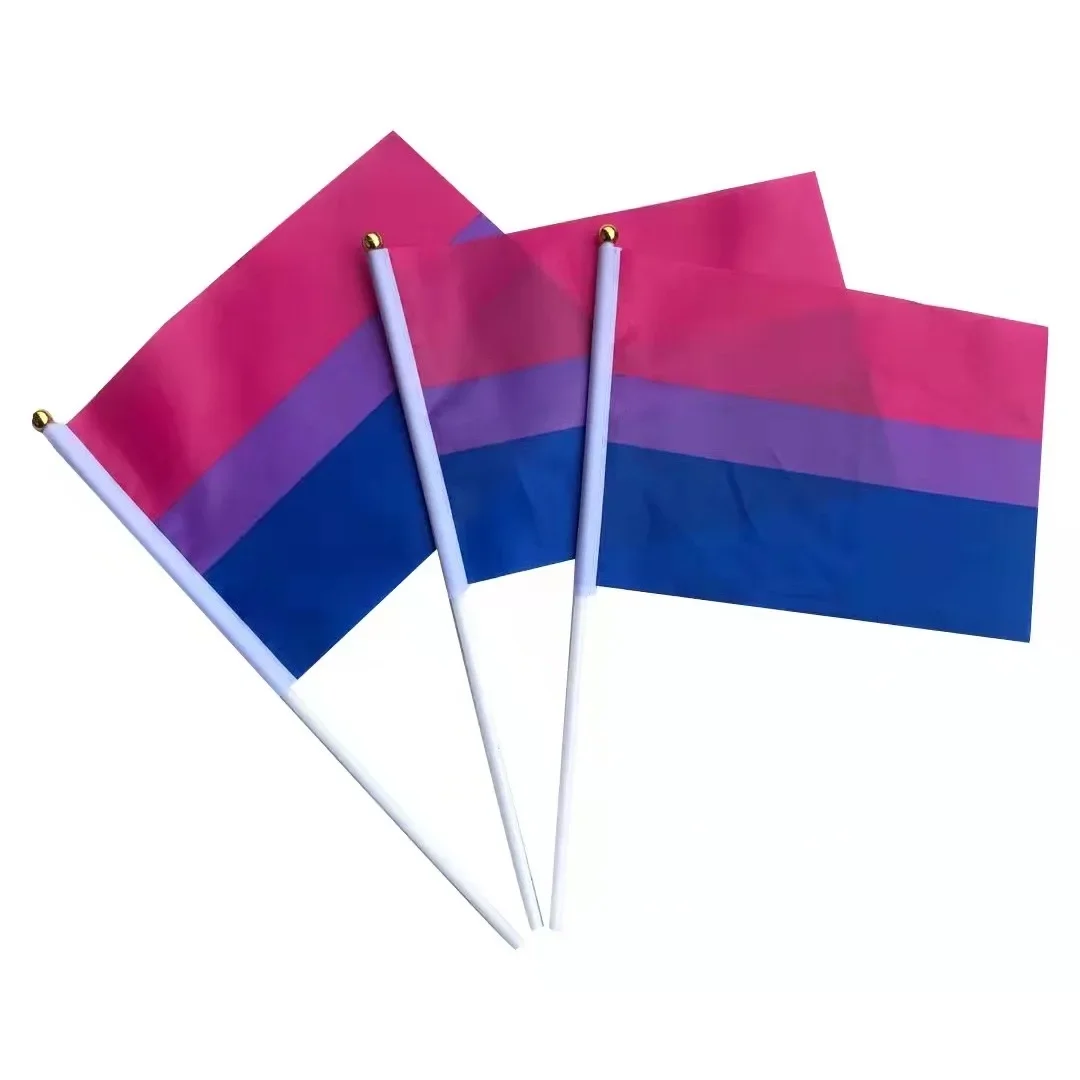 Bandera del Orgullo LGBT de 14x21cm, bandera Dream SMP, bandera del Orgullo Gay, Lésbico, Homosexual, Bisexual, bandera del Orgullo LGBT, bandera de arcoíris de mano